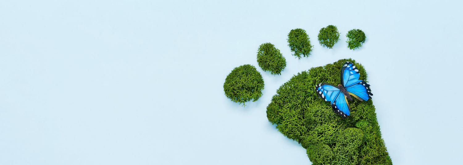 Nachhaltiges Einrichten – So gelingt Wohnen mit Verantwortung in 2025 - AMBIENDO