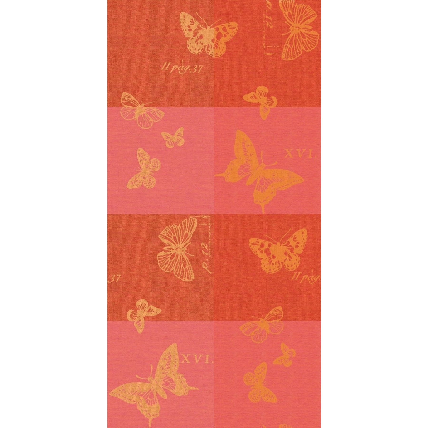 281509