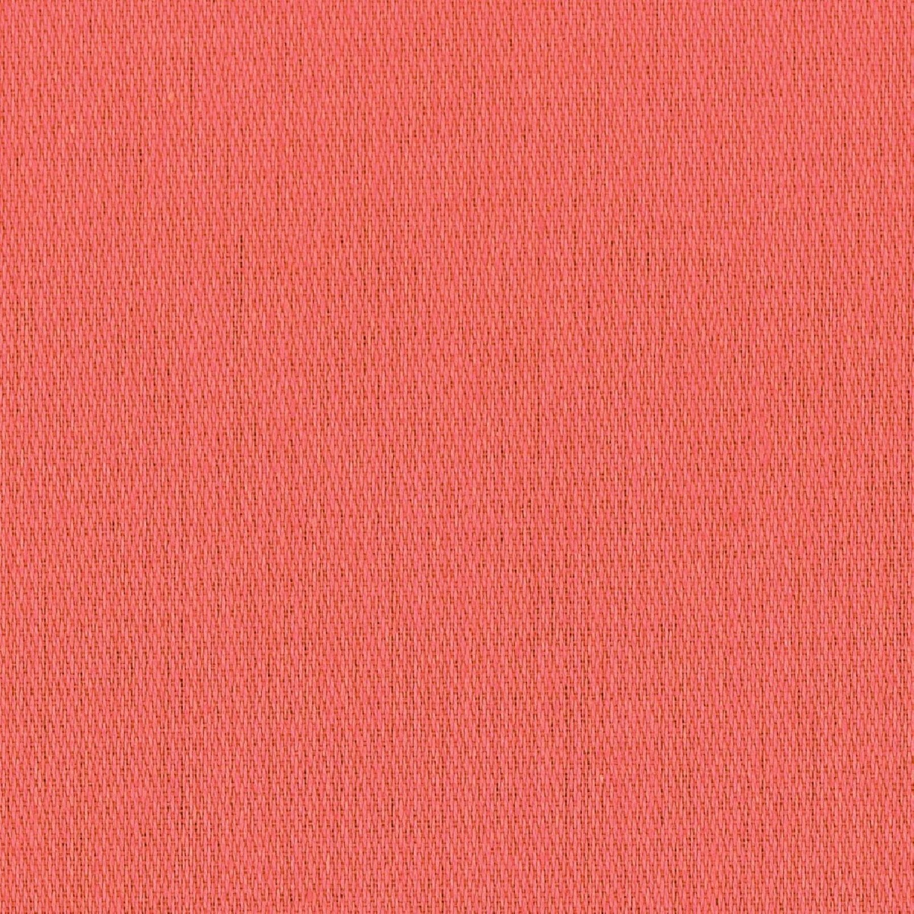 524003