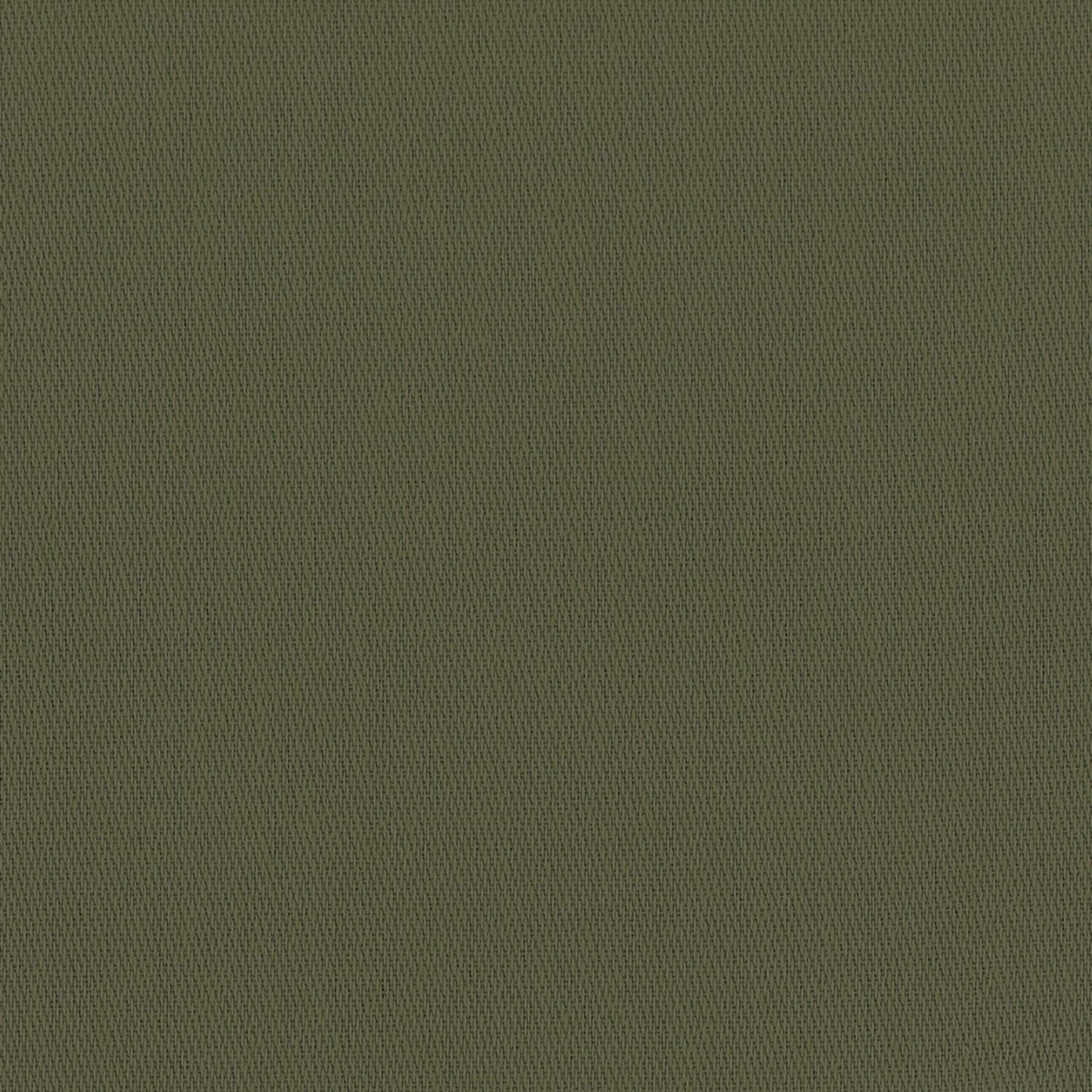 524005