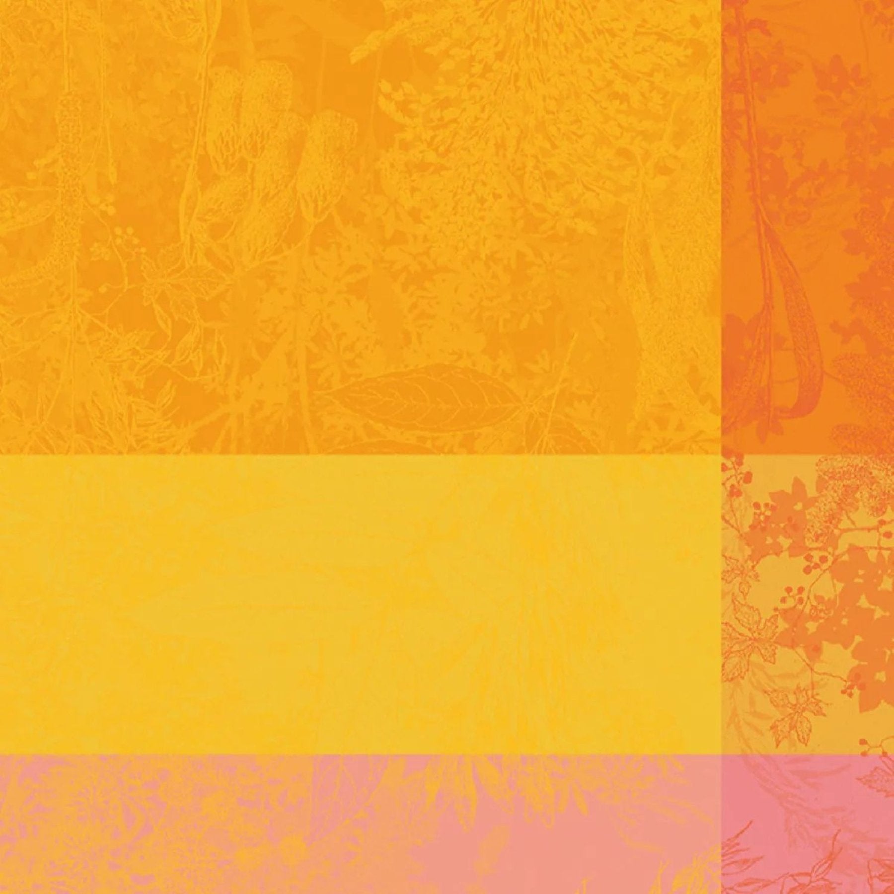 524036