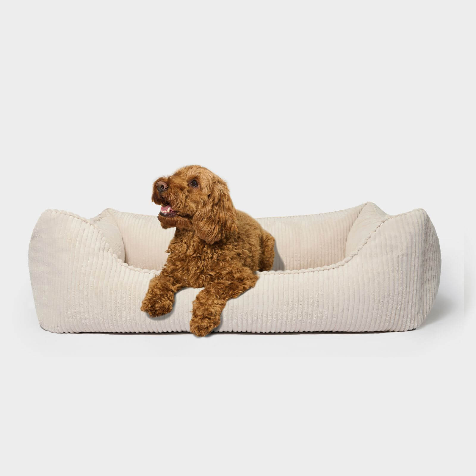Hundebett ANTON Cord Beige