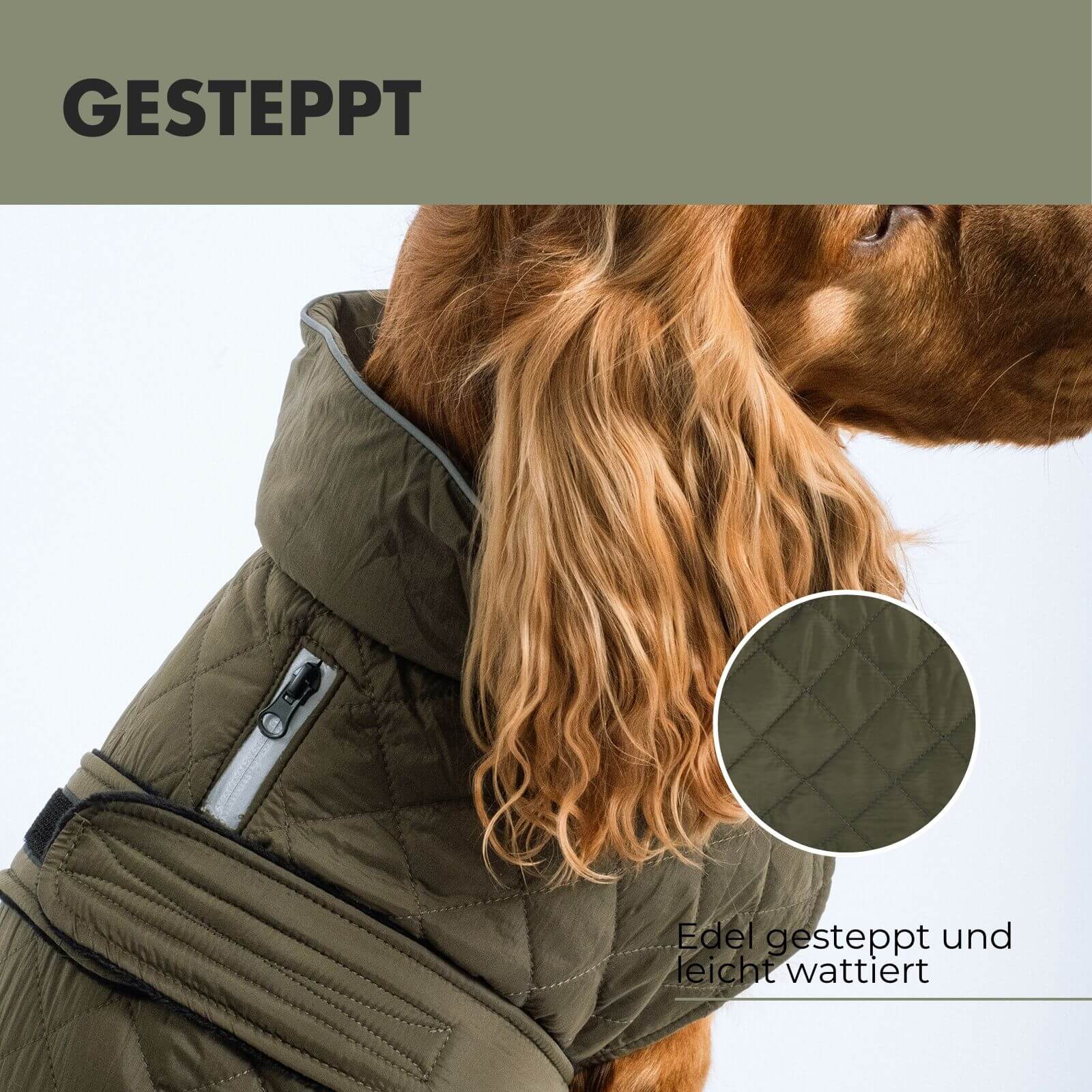 Hundejacke FRITZ Olive