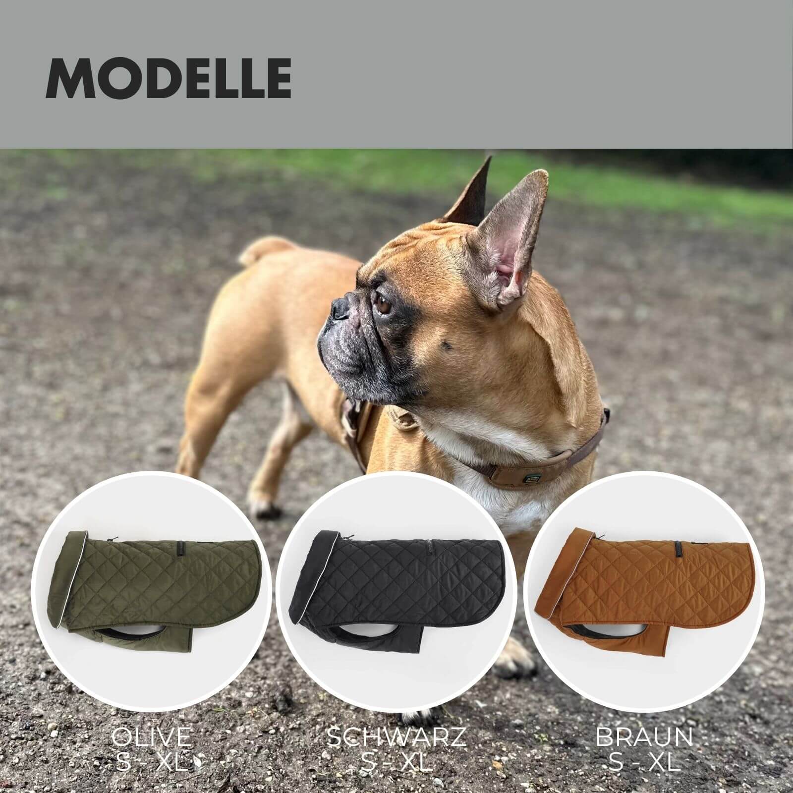 Hundejacke FRITZ Schwarz