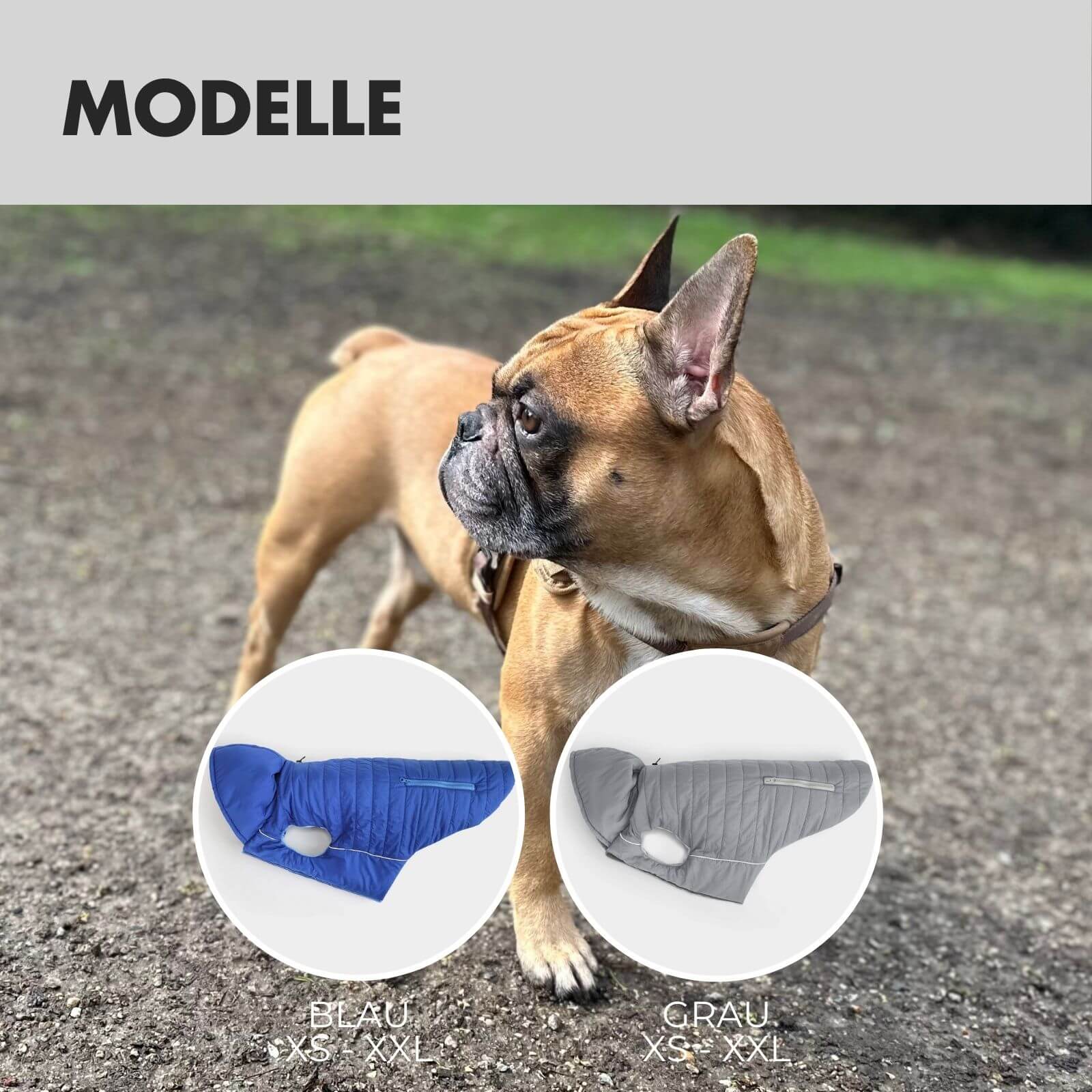 Hundejacke IMMI Grau