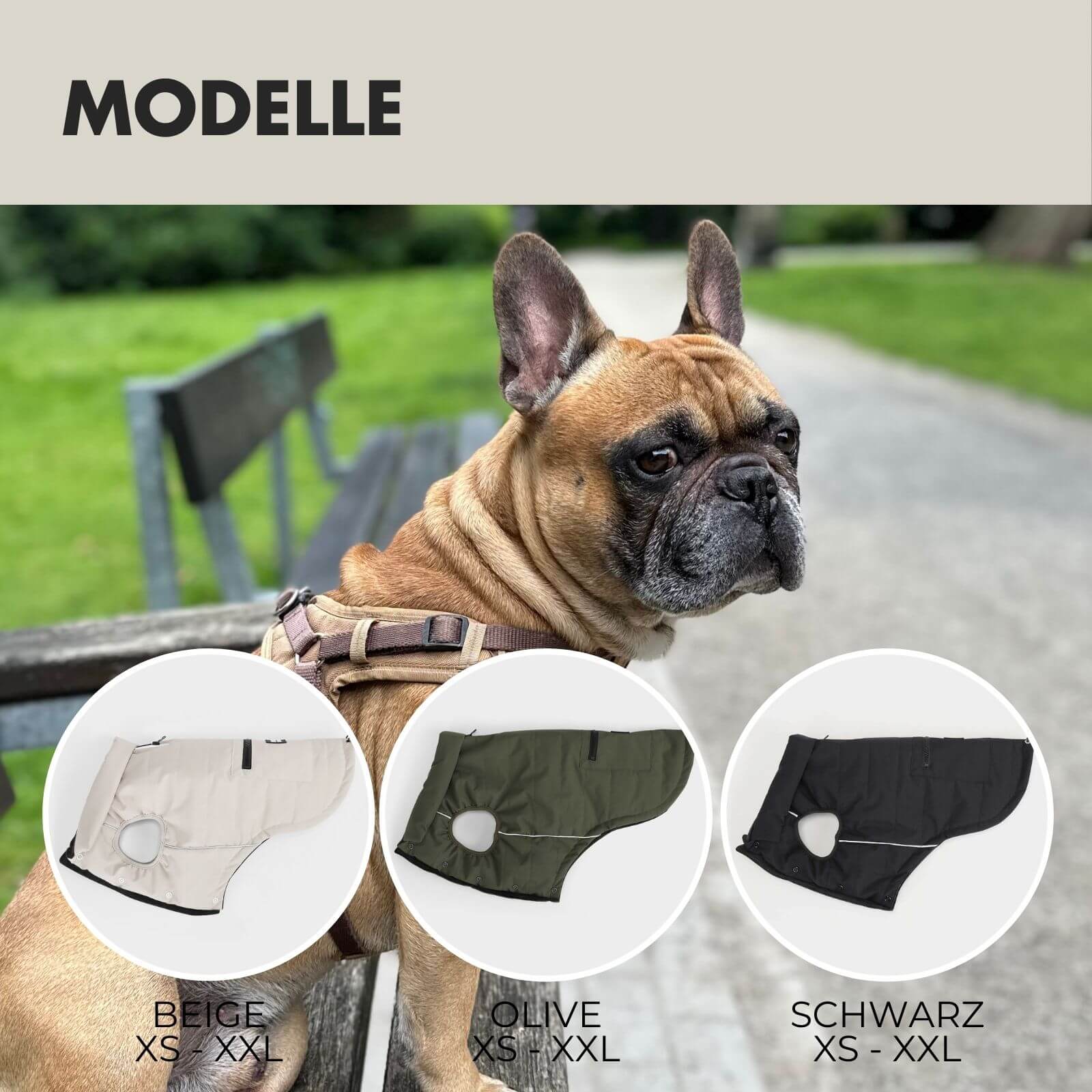 Hundejacke TONI Beige