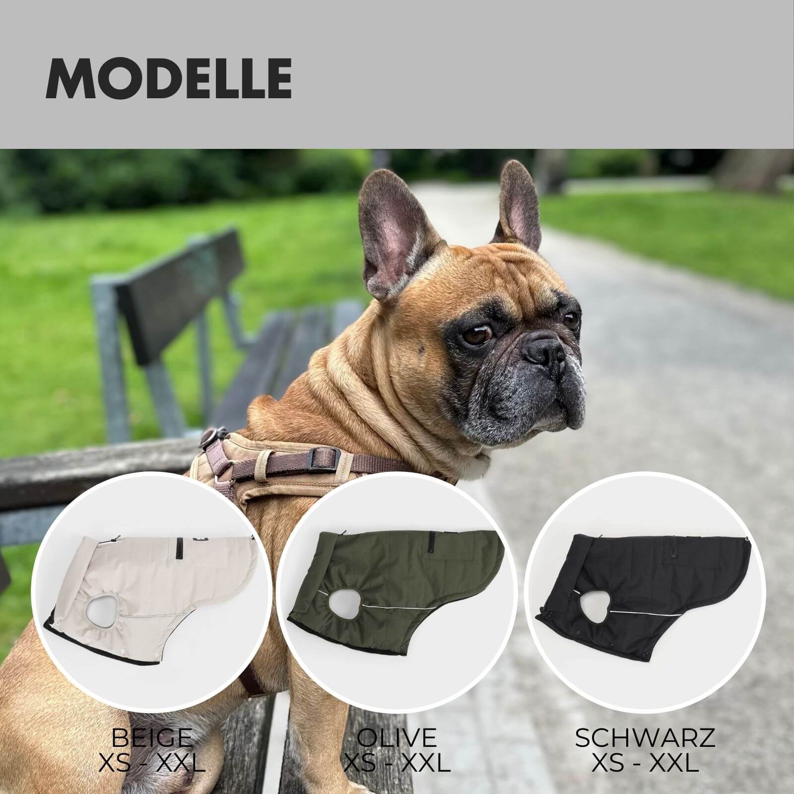 Hundejacke TONI Schwarz