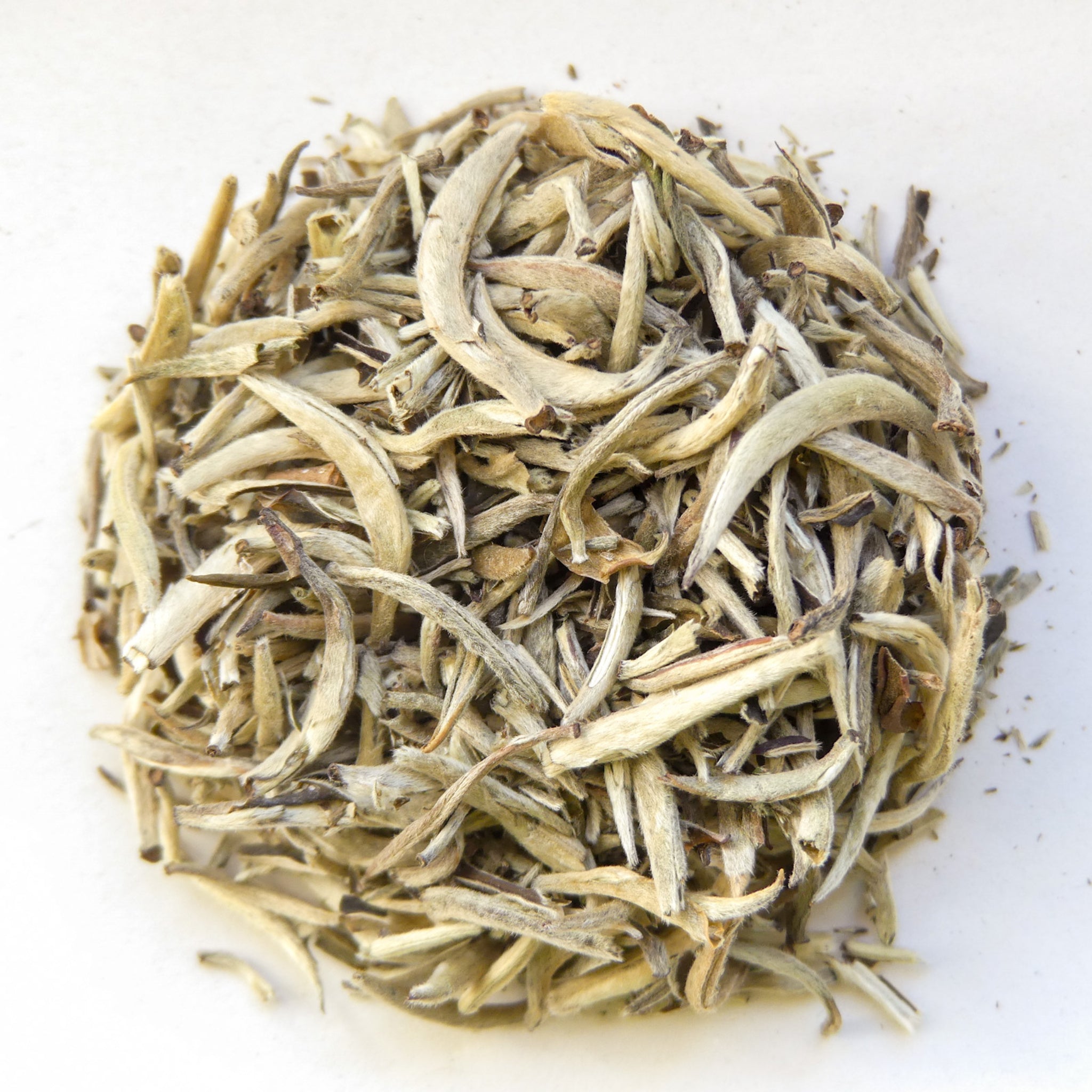 Silbernadel Tee - Weißer Tee